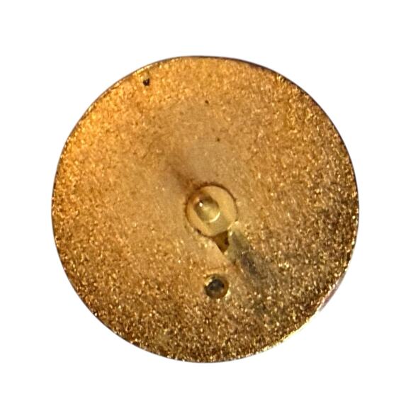 VTG Masonic Pin Grand Lodge Texas A.F. & A.M. Masons 60 yrs 10k Plate Gemstone - Picture 6 of 7